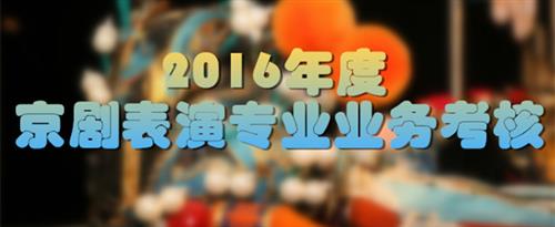 免费被操网站国家京剧院2016年度京剧表演专业业务考...